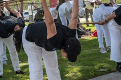 untitled-3255